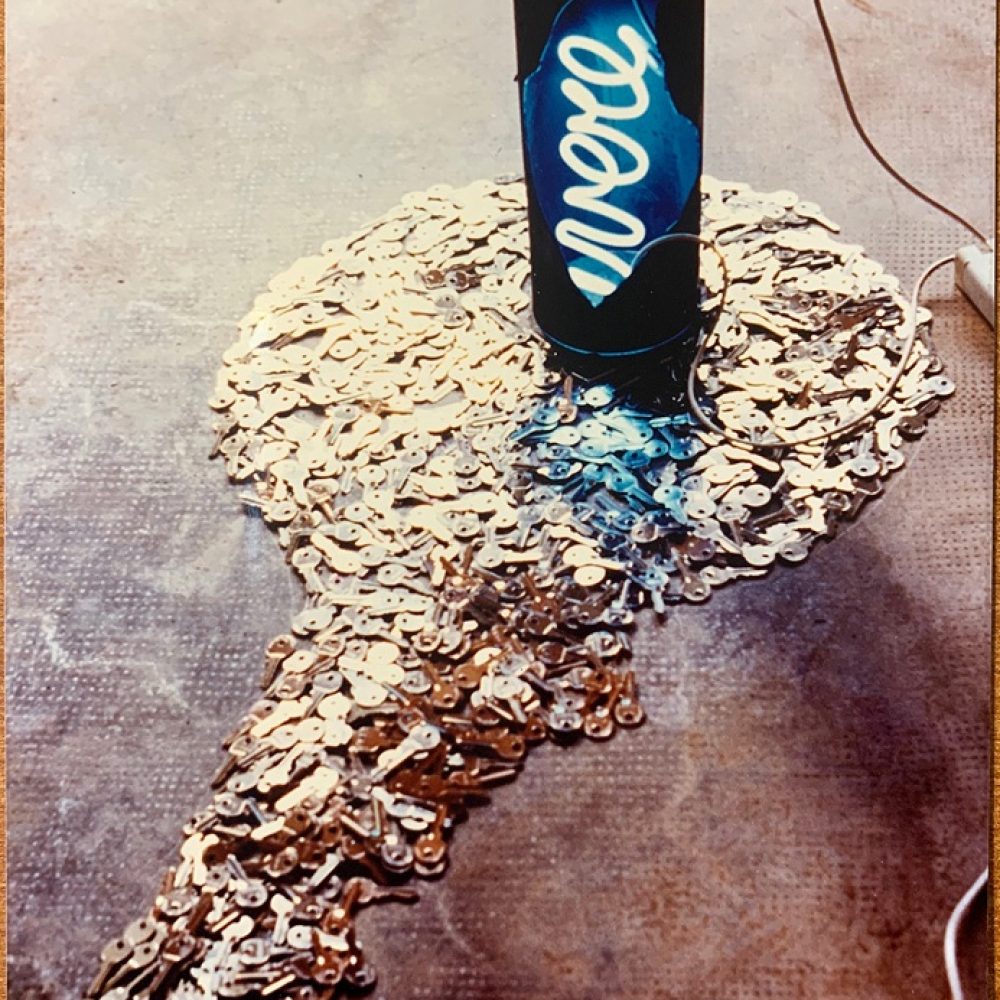 Avere elaborata_IMG_2920